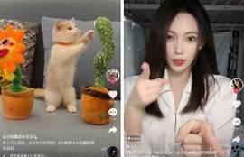 抖音破解版苹果ios1.6最新下载，畅享无限精彩短视频
