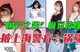 麻豆传媒精华资源视频在线观看，苹果版用户独享福利