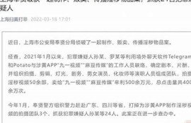 麻豆画映传媒：探索创意视频制作与营销的无限可能