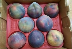优质麻豆星空果冻蜜桃传媒，释放你的创意无限可能！