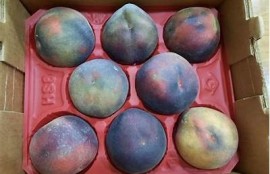 优质麻豆星空果冻蜜桃传媒，释放你的创意无限可能！