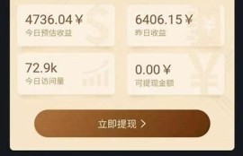 抖阴优化版1.99：提升视频播放量与用户互动的绝佳工具