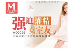 2023年最新麻豆传媒VIP资源分享与使用教程