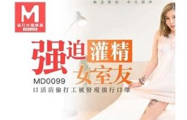 2023年最新麻豆传媒VIP资源分享与使用教程