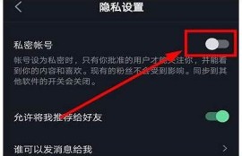 苹果手机用户如何安全下载抖阴使用方法解析
