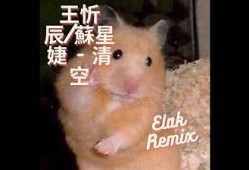 抖阴蓝奏云清秋：畅享秋季音乐盛宴，尽在这里！
