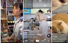 抖音免费短视频播放入口大全，轻松畅享精彩内容