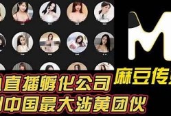 亚洲麻豆画精品传媒20：探索高质量数字内容的未来与创意之旅
