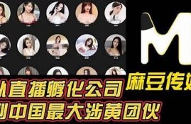 亚洲麻豆画精品传媒20：探索高质量数字内容的未来与创意之旅