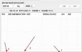抖音下载抖阴攻略：教你快速获取热门短视频