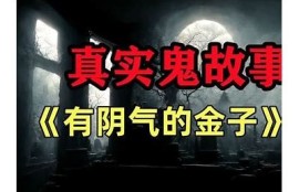 抖阴快妖精：揭秘当下最火的短视频平台潮流