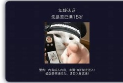 抖阴短视频经验分享：如何快速提升播放量与关注度