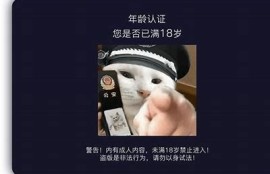 抖阴快受：探讨短视频平台对年轻人的影响与发展动向