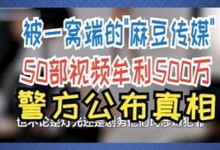 麻豆传媒的高价背景揭秘：市场需求与品质提升检视