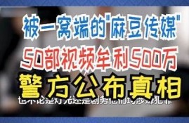 麻豆传媒的高价背景揭秘：市场需求与品质提升检视