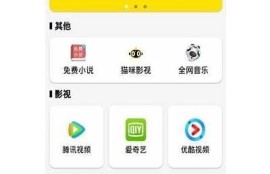 抖阴JS版苹果版下载安装教程及使用技巧分享