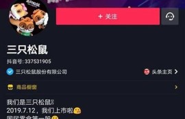 提升短视频质量，揭秘抖音优化技巧与策略，助你成为流量达人！