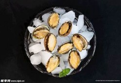 小宝贝鲍鱼抖阴：揭秘无与伦比的养殖技巧与美味食谱