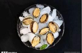 小宝贝鲍鱼抖阴：揭秘无与伦比的养殖技巧与美味食谱