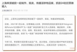 麻豆传媒经典之作：揭示摄影艺术与美的完美结合