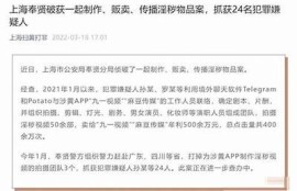 麻豆传媒经典之作：揭示摄影艺术与美的完美结合