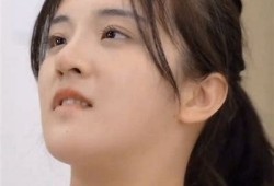 麻豆映画传媒：探寻两个爸爸的故事与背后真相