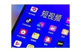 梅花视频抖阴：揭秘最受欢迎的短视频平台及其特点