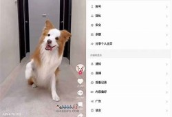 抖阴破解版2023：无限抖币iOS版免费下载与使用指南