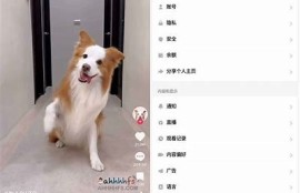 抖阴破解版2023：无限抖币iOS版免费下载与使用指南