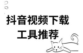 抖音最新破解版免费下载：畅享无限精彩短视频体验