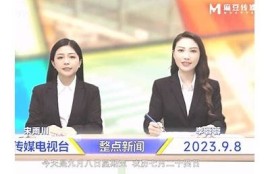 麻豆经济传媒司徒丹妮：深度解析与行业前景展望