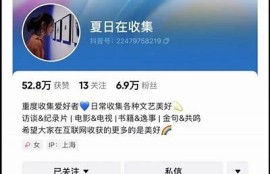 抖音会员账号共享平台推荐，轻松获取优质内容！