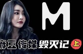 探索麻豆传媒画视频的魅力与创意，带你领略全新视听盛宴！