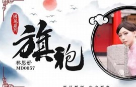 麻豆啊传媒演员表详细介绍，知名演员一览