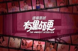 深入探讨麻豆传媒秧画经理的成功之道与业务策略