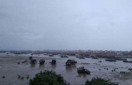 防城港最新天气预报：精准气象信息与出行建议指南