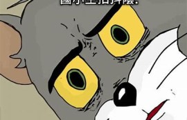 抖阴与抖音台湾的差异研究：新兴短视频平台的崛起与难题