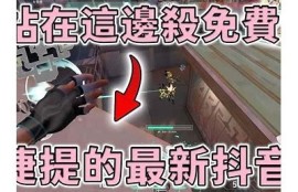 揭秘抖阴djb86：你需要知道的使用技巧与安全注意事项