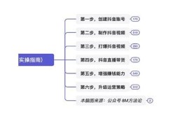 深入解析抖音短视频运营策略与成功案例分享