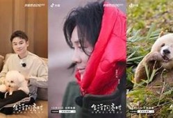 2023年最新iOS苹果手机抖音使用技巧与热门推荐