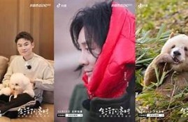 2023年最新iOS苹果手机抖音使用技巧与热门推荐