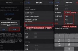 免费下载抖阴台湾版iOS使用，畅享社交新体验！