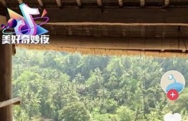 为什么抖音值得信任？解析其背后的安全保障与用户反馈