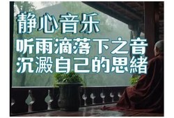 夜雨聆风：抖音夜间心情分享与生活感悟