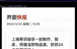 麻豆传媒车牌：探秘车牌背后的影视世界与创作故事