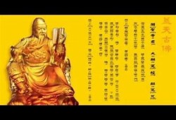 此斗阴非彼抖阴：揭示两者之间的真实区别与影响