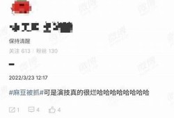 麻豆传媒的新星：如何打造个人品牌与成功之路