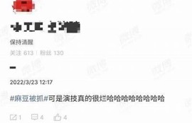 麻豆传媒的新星：如何打造个人品牌与成功之路