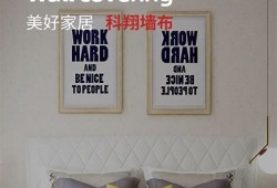 如何免费下载麻豆传媒视频，获取高质量mp4格式教程
