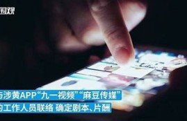 麻豆传媒印画app是否存在病毒风险？深度解析与安全提示
